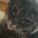 millardblep