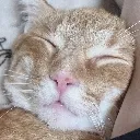 Cheddar1