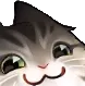 smug