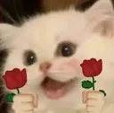 loveforyou