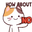 Catc_HowBoutNo_EY