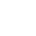 lowiq
