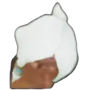 Hmm_moth