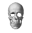 skull_explosion