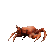 crab