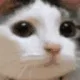 no