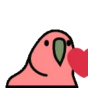 pp60fpsheartparrot pp60fpsheartparrot