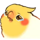 birbcry1