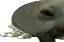 xddshrug