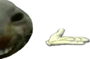xddshrug