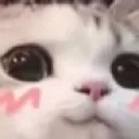 uwuPussy