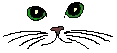 a_cateyes