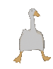El Pepe Discord Emoji