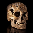 ancient_skull