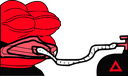 XAIPepe14 Discord emoji