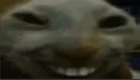 xdd