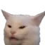 MadCat
