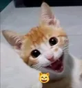 happy