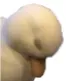 itsover