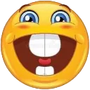 ameer