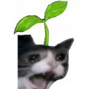 2Catto_with_hatto Discord Emoji