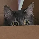 GoosePeek