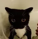 unistare unistare