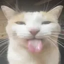 silly