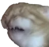 ew