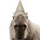 Capydunce