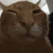 buh