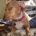 SIDEEYE