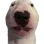 D_OkDog D_OkDog