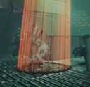 hm