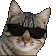 vibecat