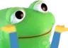 shrugfrog
