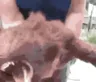 BARKBARK BARKBARK