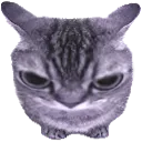 judgmentalcat