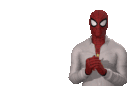spiderman_explain