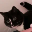 MarthaWatching