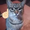 DeHecho