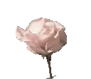emoji_127
