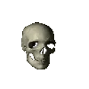 Spinningskull_thefunny Spinningskull_thefunny