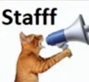 stafff