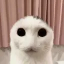thread