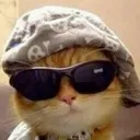 Swag_cat