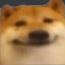 Smug_Doge