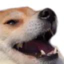 Doge_laugh