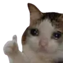 crycat