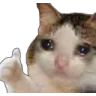 Sadcatthumbsup sadcatthumbsup Discord Emoji